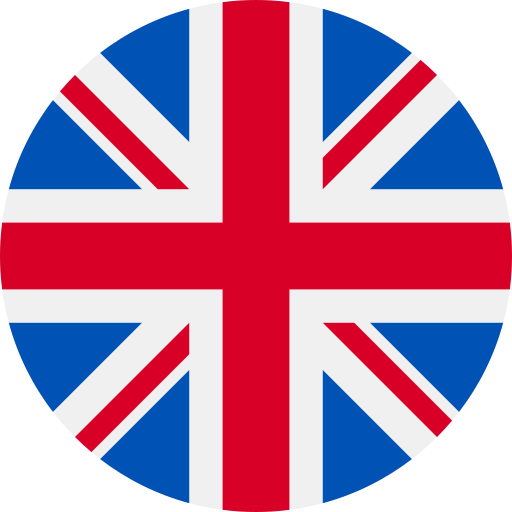 Bandeira País 2